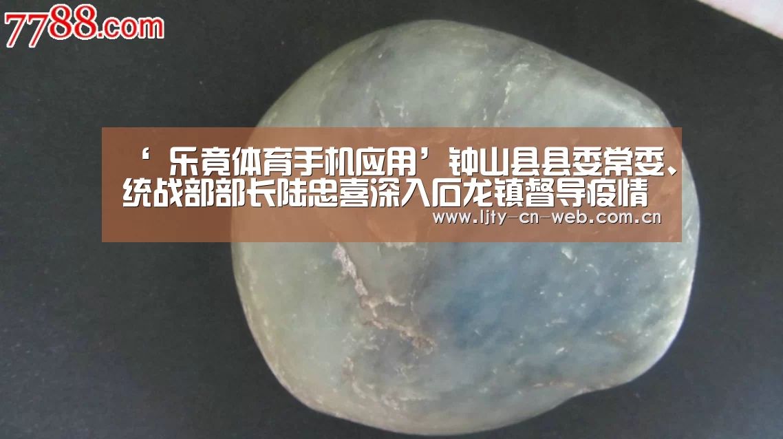 ‘ 乐竟体育手机应用’钟山县县委常委、统战部部长陆忠喜深入石龙镇督导疫情防控工作(图3) 乐竟体育手机应用